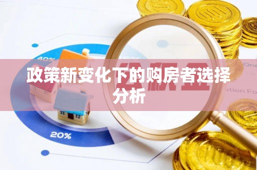 通知政策新变化下的购房者选择分析